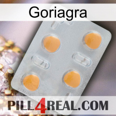 Goriagra 24